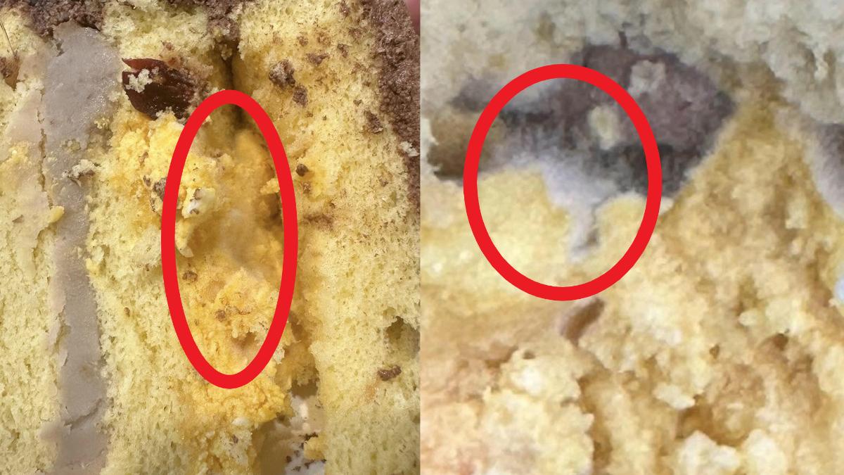 蛋糕酸酸的?他切開「長滿白毛」全發霉 半夜上吐下瀉
