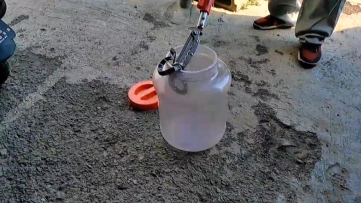里內也曾出沒雨傘節,里長表示近期接獲多次通報。(圖/蘇青癸提供)