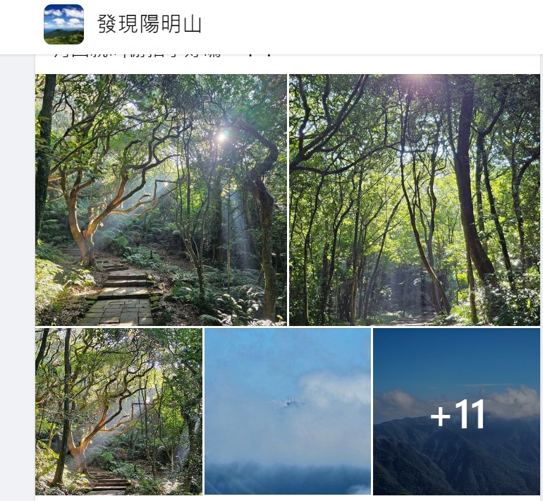 原PO貼出多張圖引發網友好奇一張張點開。(圖/翻攝自「發現陽明山」臉書社團)