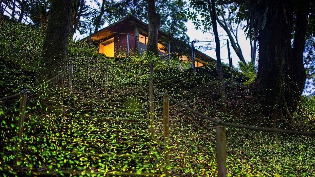 北北基都會區唯一獲獎 平溪區紫東社區奪金牌農村銅牌