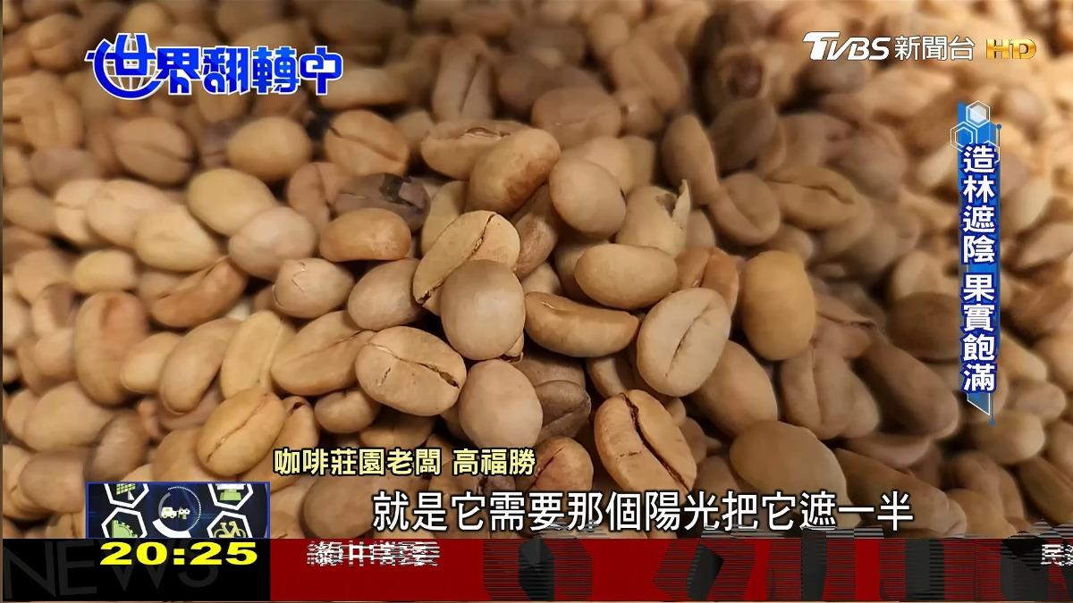 圖／TVBS (2)