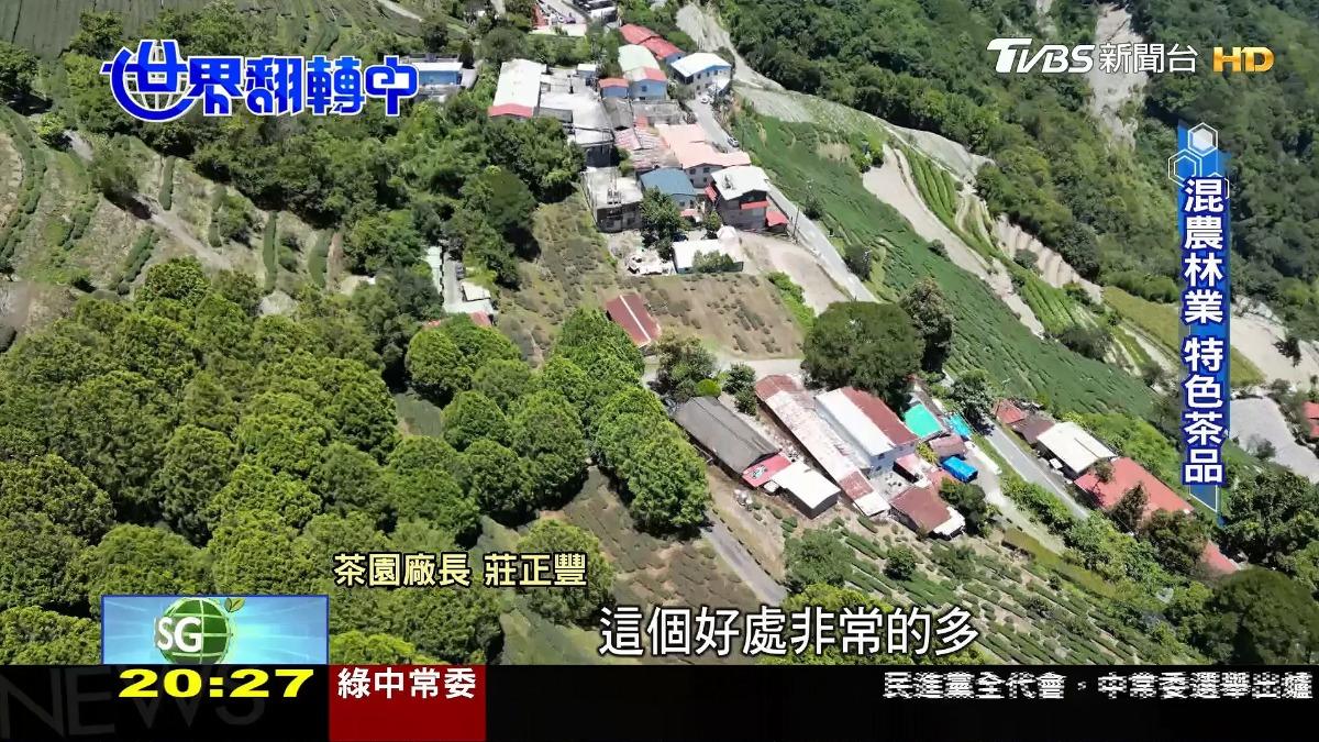 圖／TVBS (3)