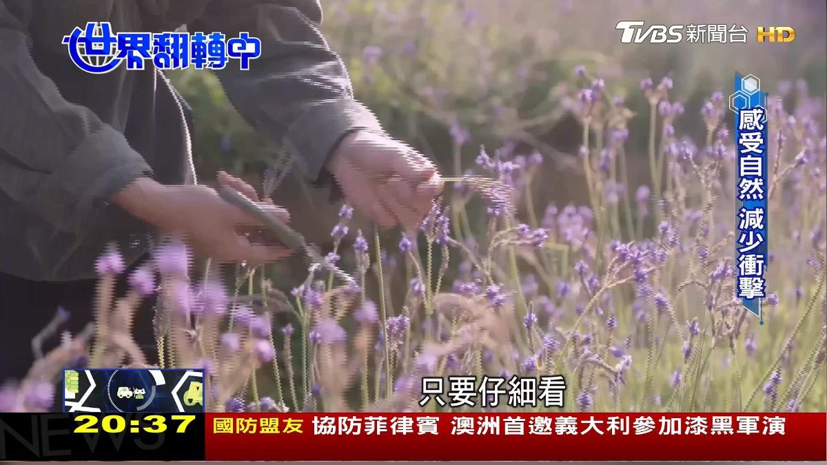 圖/TVBS (1)