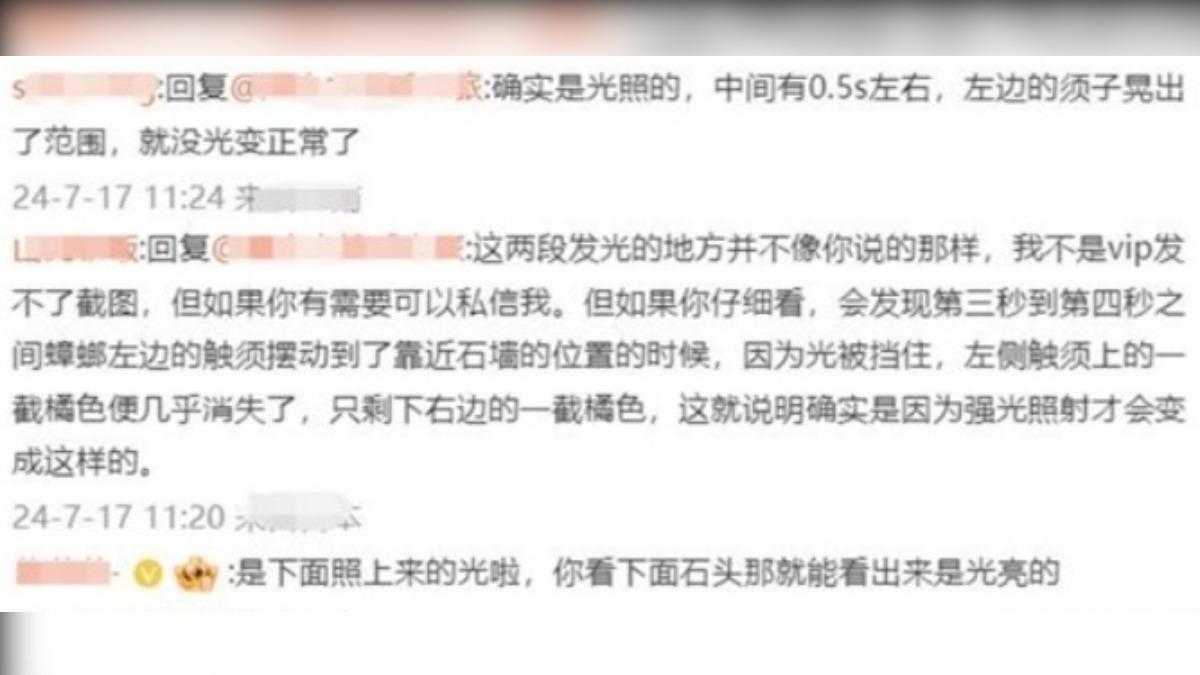 一個蟑螂，各自表述。（圖／翻攝自微博）