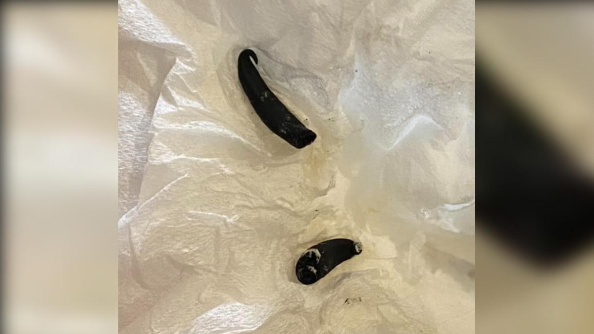 麻油雞喝完驚見馬陸!釣出她再爆「吃麵咬到水蛭」:也在台中