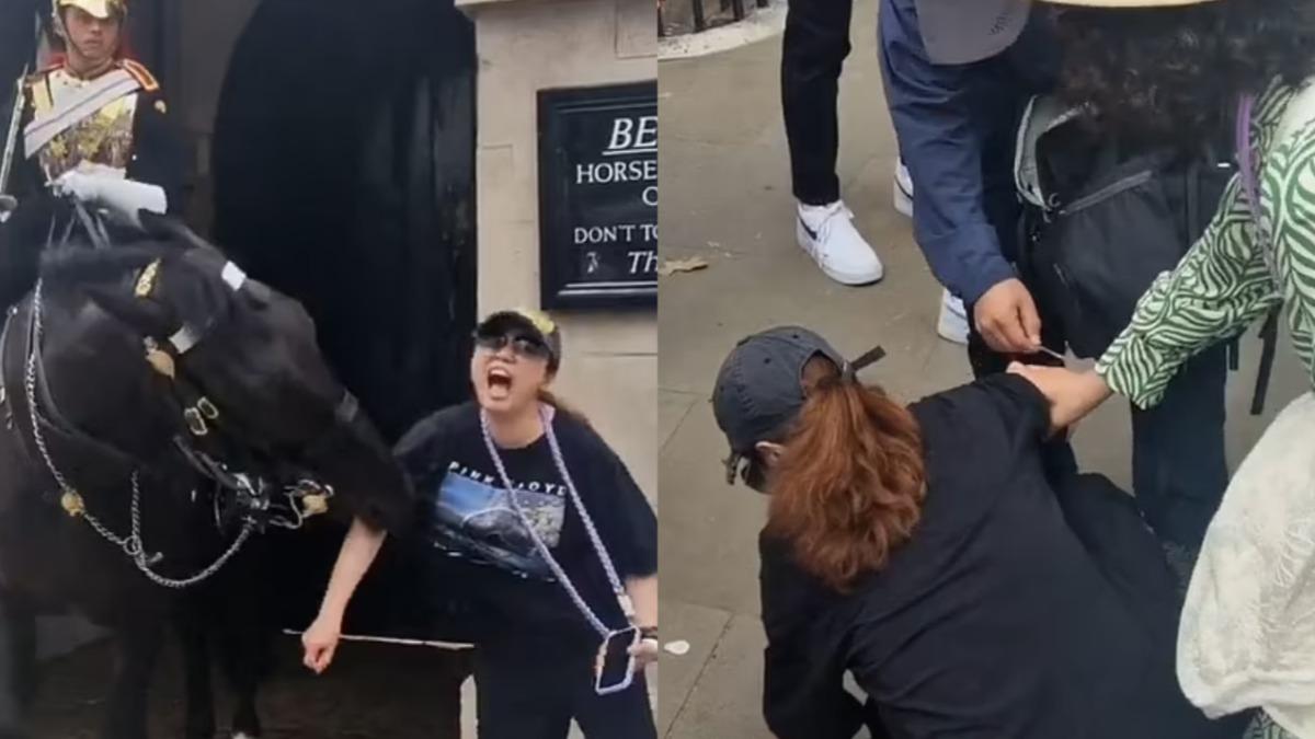 無視警告!女與英皇家衛隊戰馬合影 突被「猛咬手臂」濺血昏厥