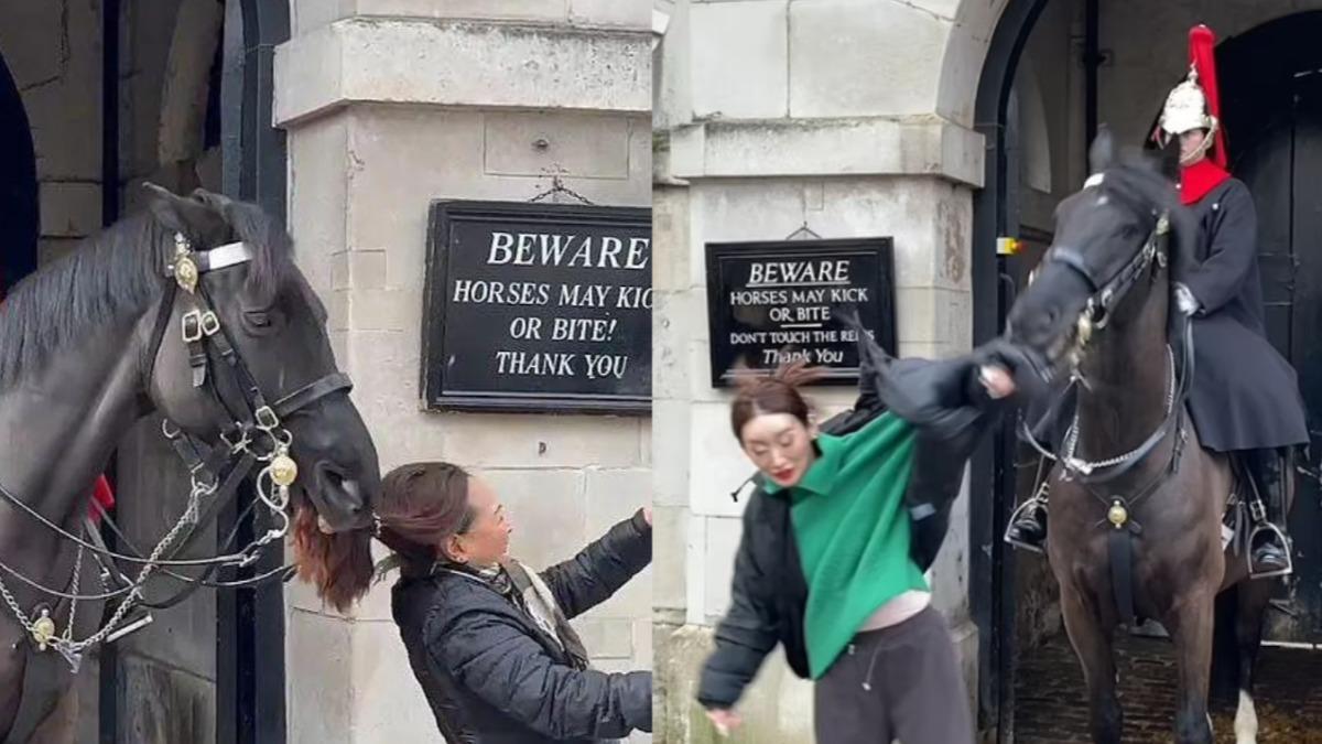 曾有不少遊客無視警告標語被馬咬。（圖／翻攝自 YT@The Royal King's Guards England）