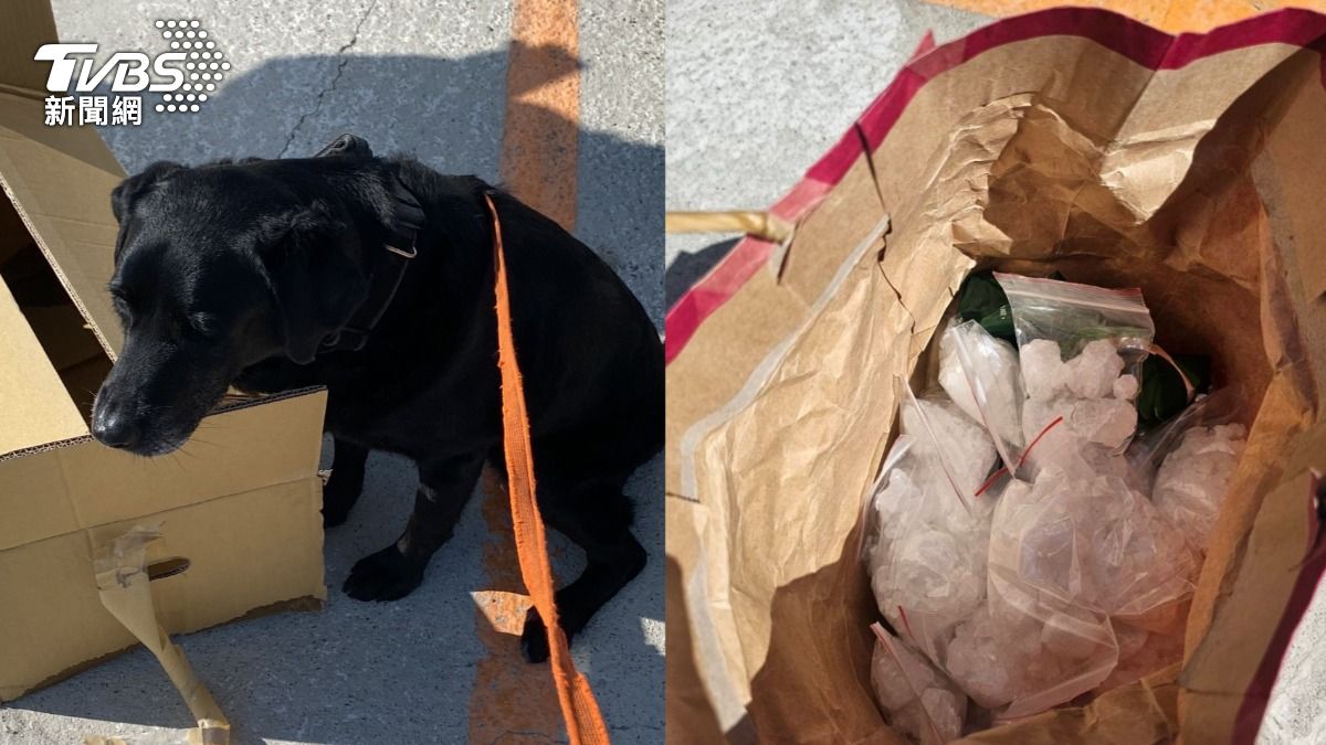 狡猾嫌死不說毒品在哪!緝毒犬Candy立功 嗅出BMW藏K