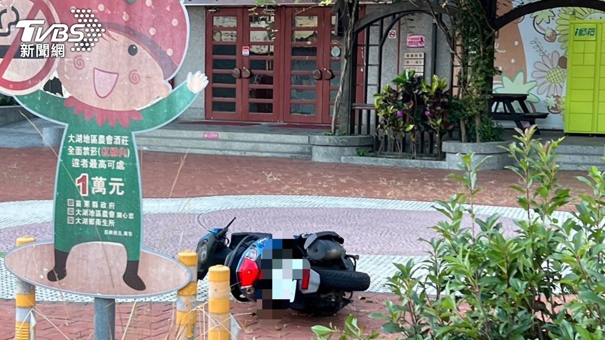退休警半路輾到「死掉的流浪狗」，頭胸重創不治。（圖／TVBS）
