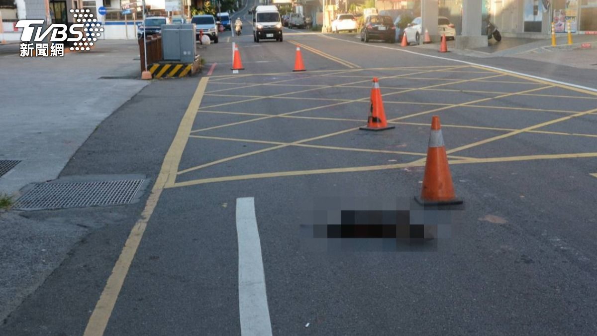 賴男騎車撞擊路中已死亡的流浪狗。（圖／TVBS）