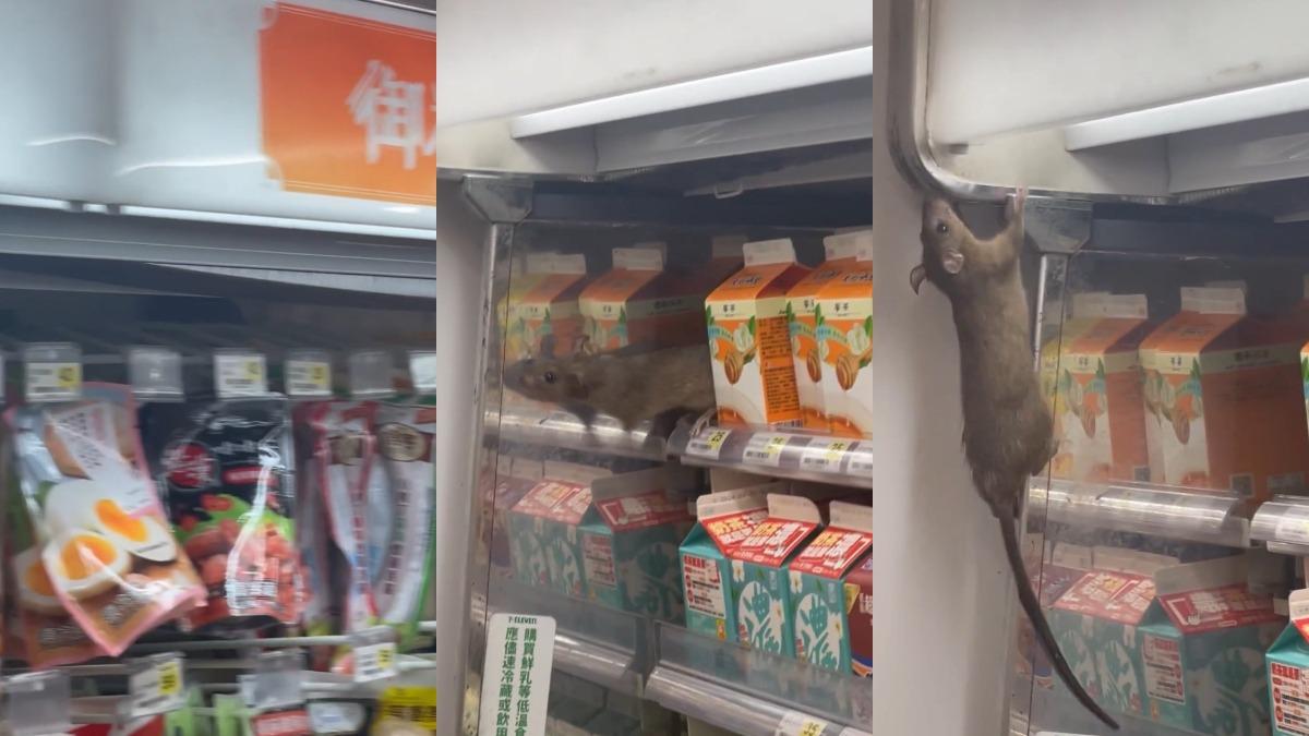 北車超商驚見老鼠！食物架上狂奔　業者回應：商品已報廢、消毒