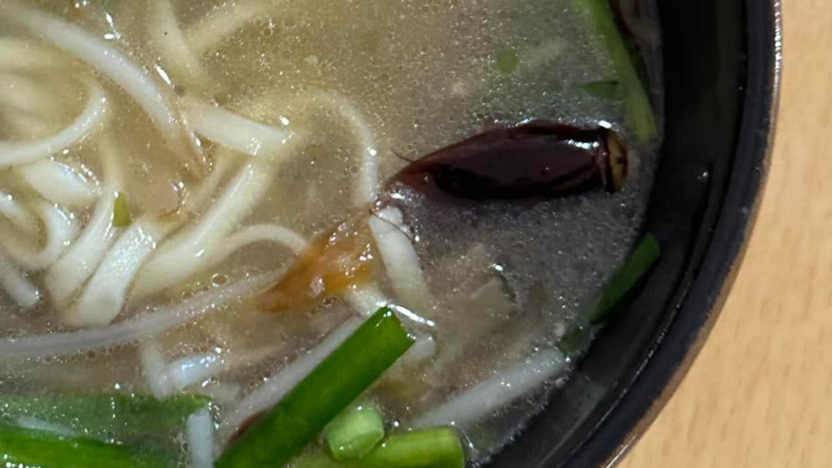 湯麵吃出「六腳油蔥酥」!飄鬚泛油光 他見蟑螂浮屍噁吐