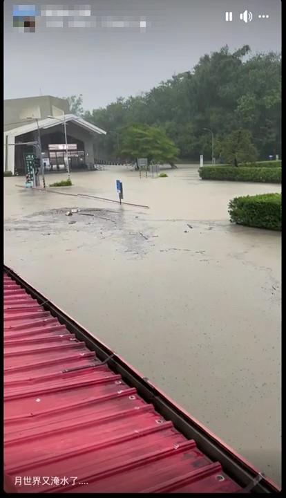 高雄田寮月世界淹成水世界,超商宛如孤島。(圖/翻攝自臉書社團阿蓮大小事)