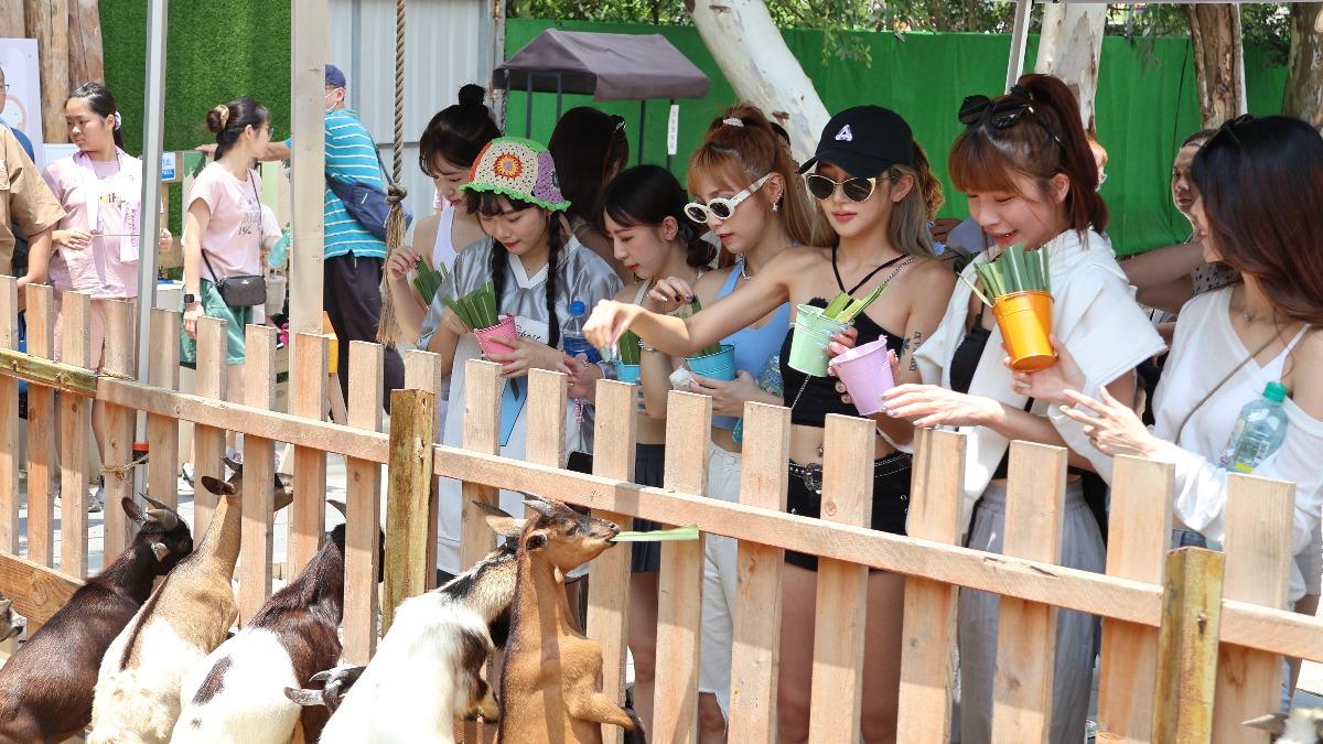嘉義高鐵站驚見「40位正妹」 大批遊客側目!真實身分揭曉