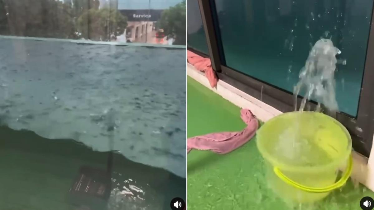 凱米颱風/高雄疑「陽台淹成水族箱」畫面曝 網憂:能撐多久?