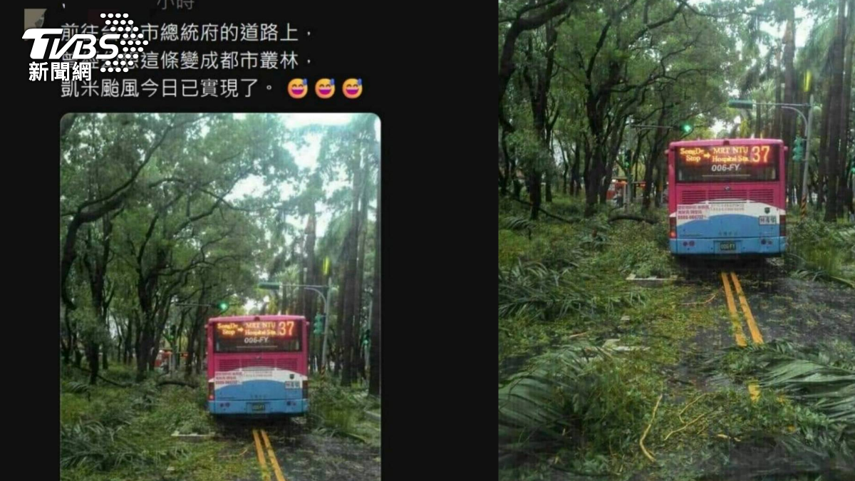 北市仁愛路成「都市叢林」!公園處證實無災情 警方出手了