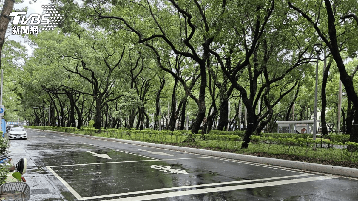 公園處人員今早前往巡查,並未發現路樹傾倒狀況。(圖/公園處提供)