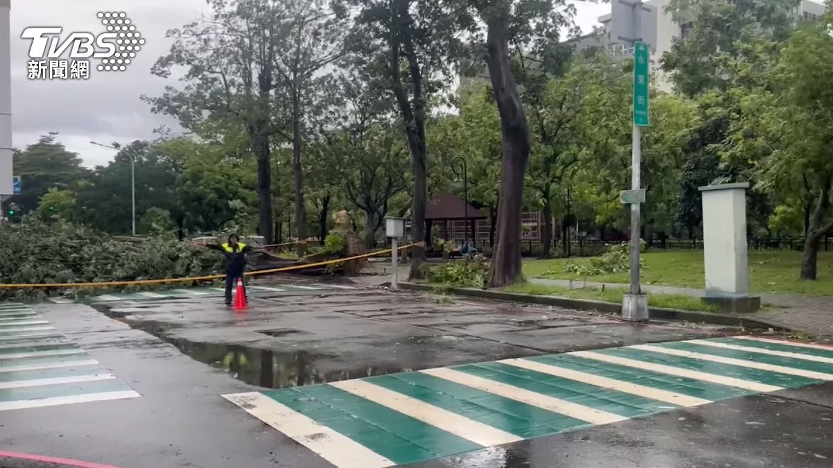 台中一晚強風吹倒上百棵樹!天亮上班風雨正大