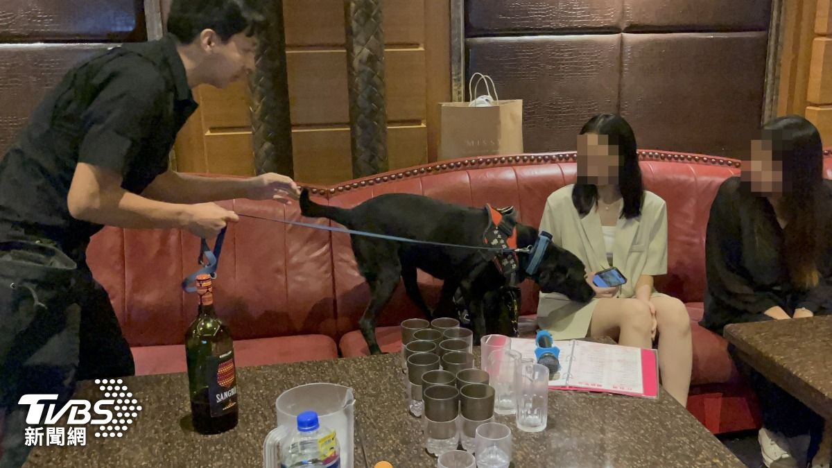警犬隊出動。(圖/TVBS)