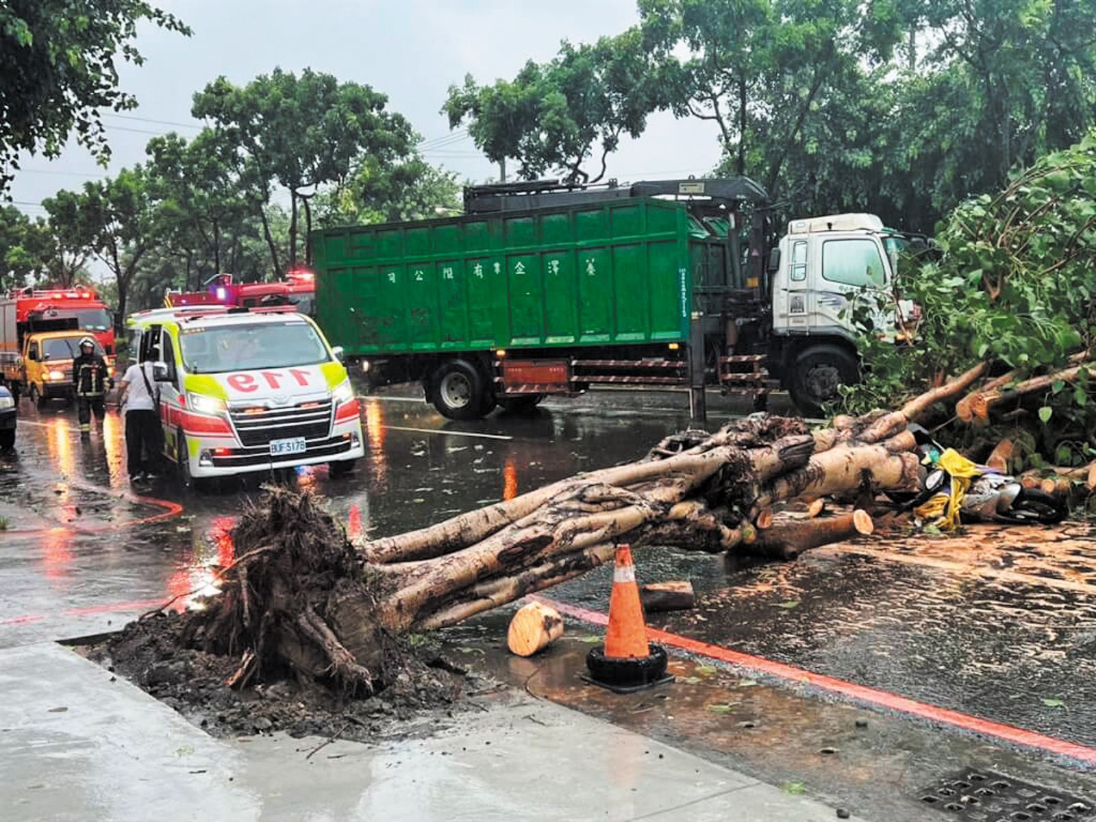 高雄婦人騎機車遭傾倒的路樹擊中，傷重不治。（圖／高雄市消防局提供）