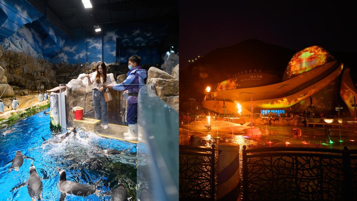 親子出遊快衝!香港海洋公園夏季攻略 餵企鵝、水舞煙火秀必體驗