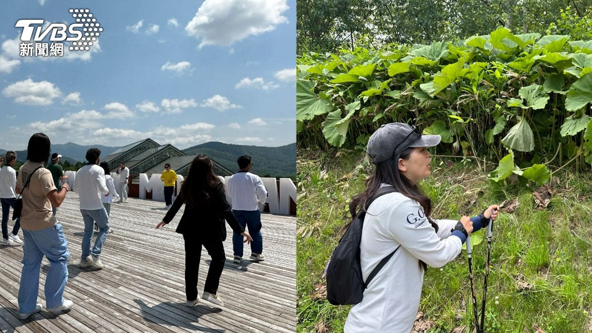 國外旅遊戶外活動體驗、自然探索。(圖/許稚佳攝)