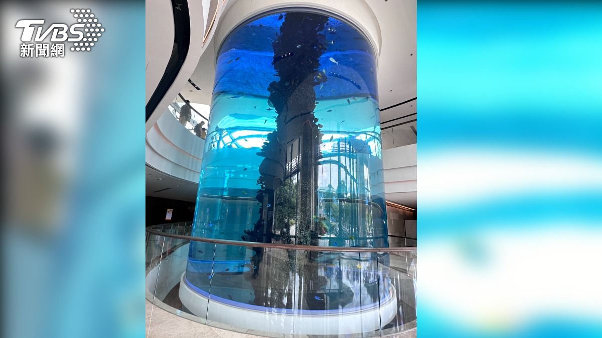 飯店大廳有垂直跨越3層樓、16米高的圓柱型水族館。(圖/業者提供)