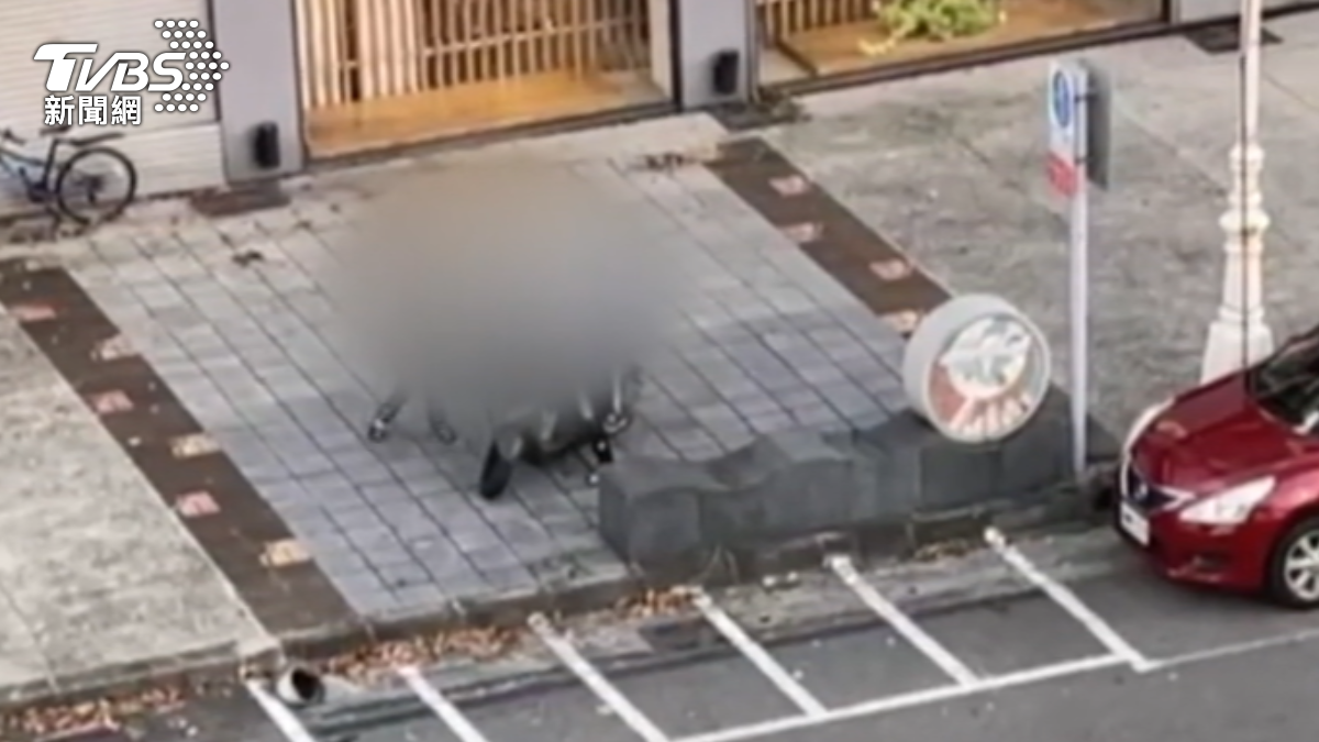 圖／TVBS