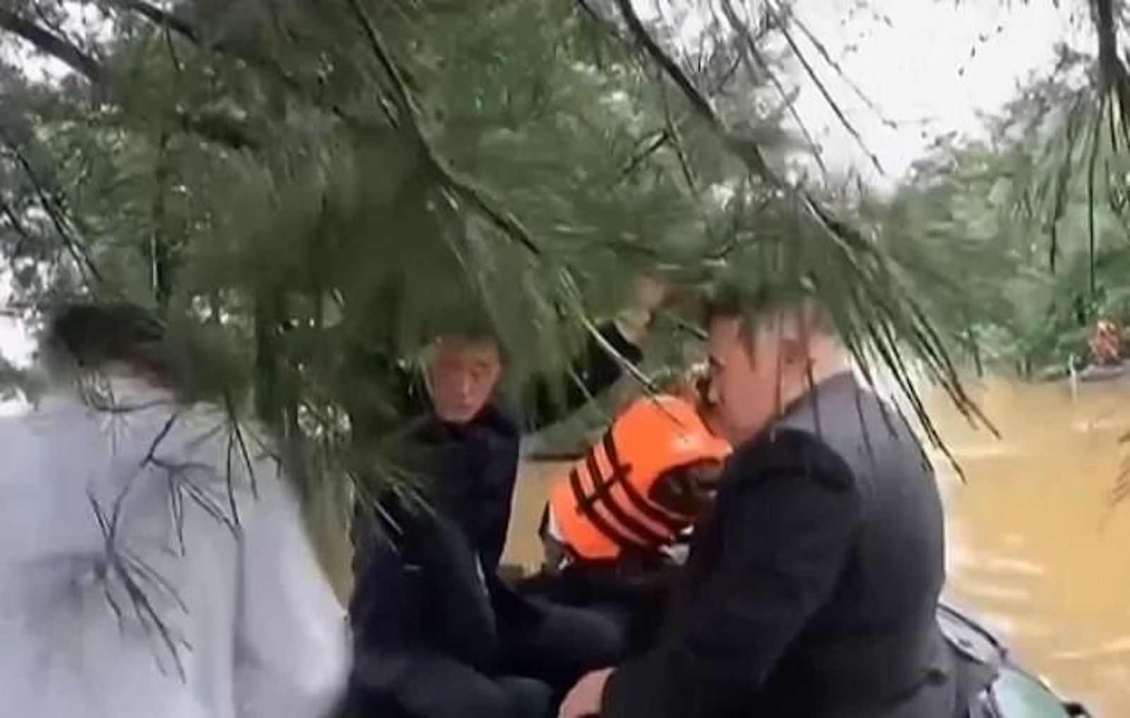 金正恩險撞到樹。(圖/翻攝自《朝中社》)