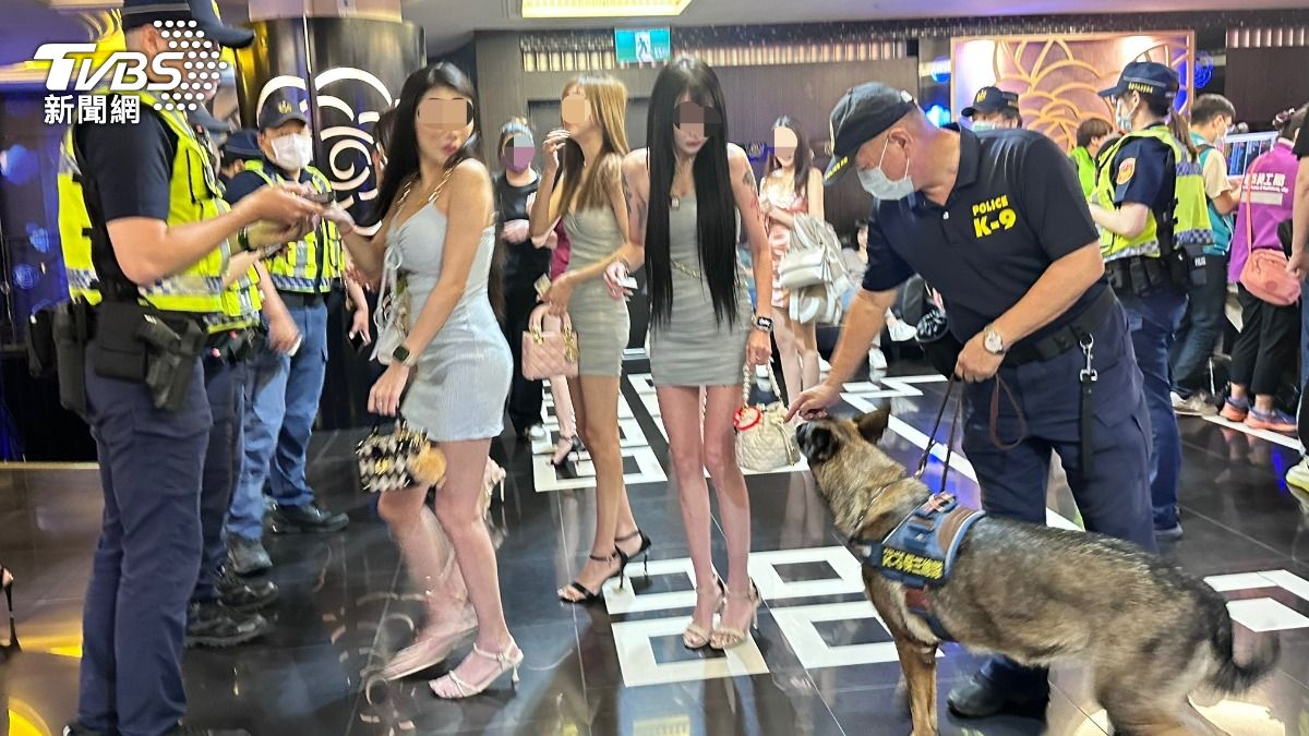 低胸妹排排站！高雄舞廳深夜遭稽查　緝毒犬埋頭狂嗅長腿