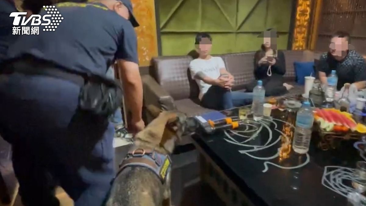 保三總隊警犬隊申請緝毒犬「WENDY」支援查緝勤務。（圖／TVBS）