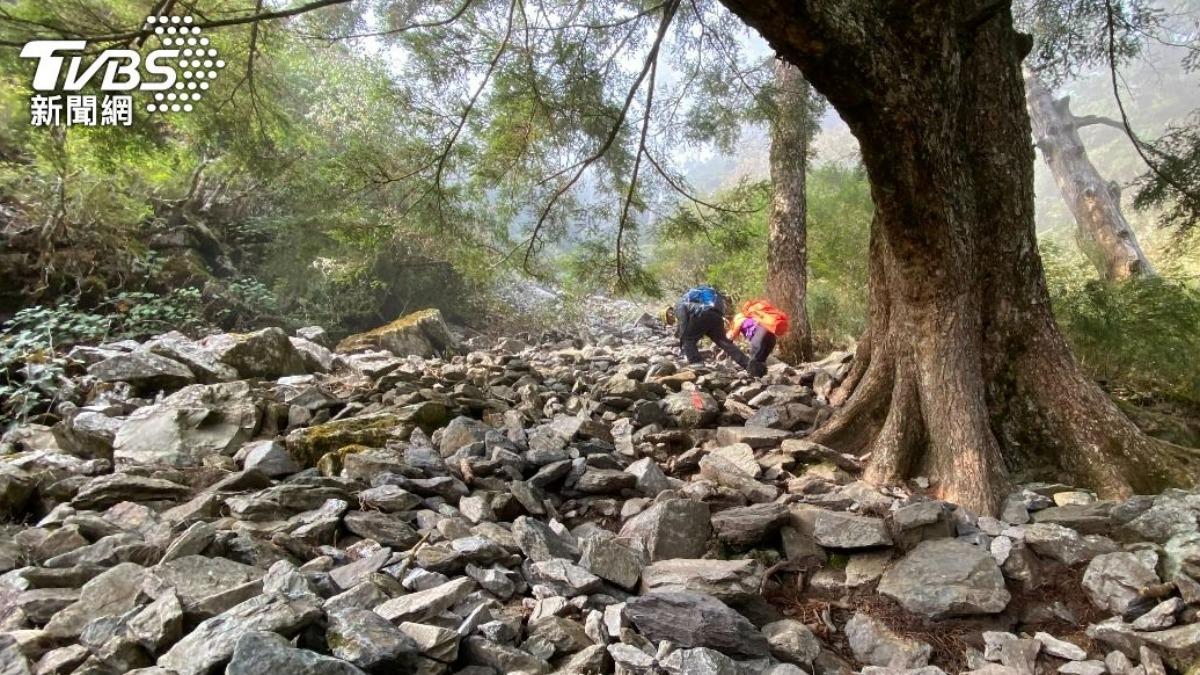 山難頻傳!消防署公布去年山域意外事故數據 「迷路」最致命