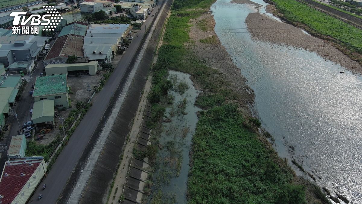 大里溪淺灘漂浮約400隻腐爛死魚。（圖／台中市議員張芬郁提供）