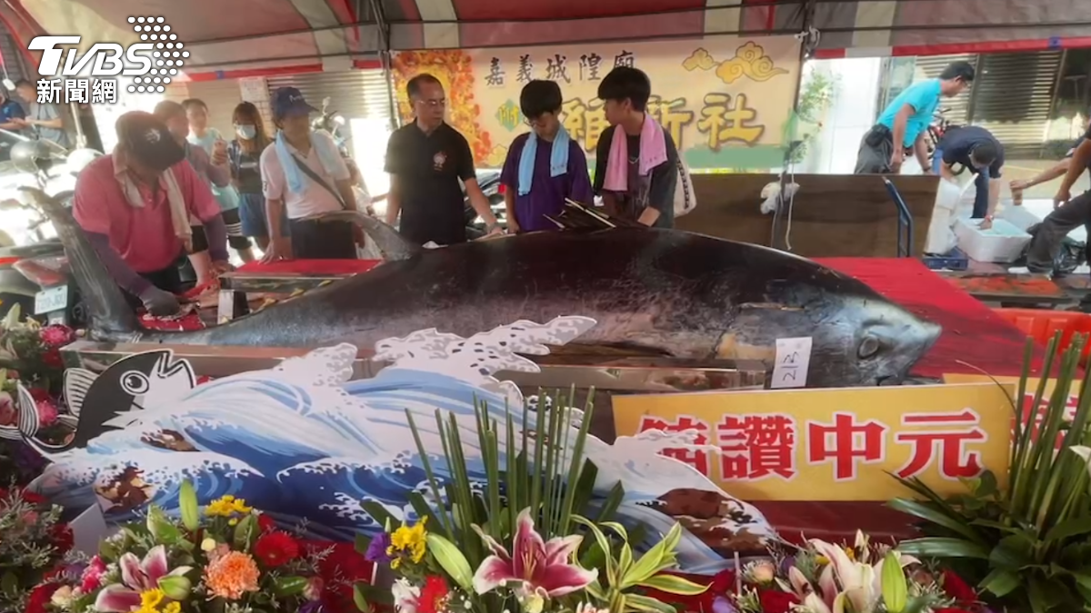 嘉義城隍廟普渡超吸睛！18米魷魚龍、400kg黑鮪魚迎好兄弟