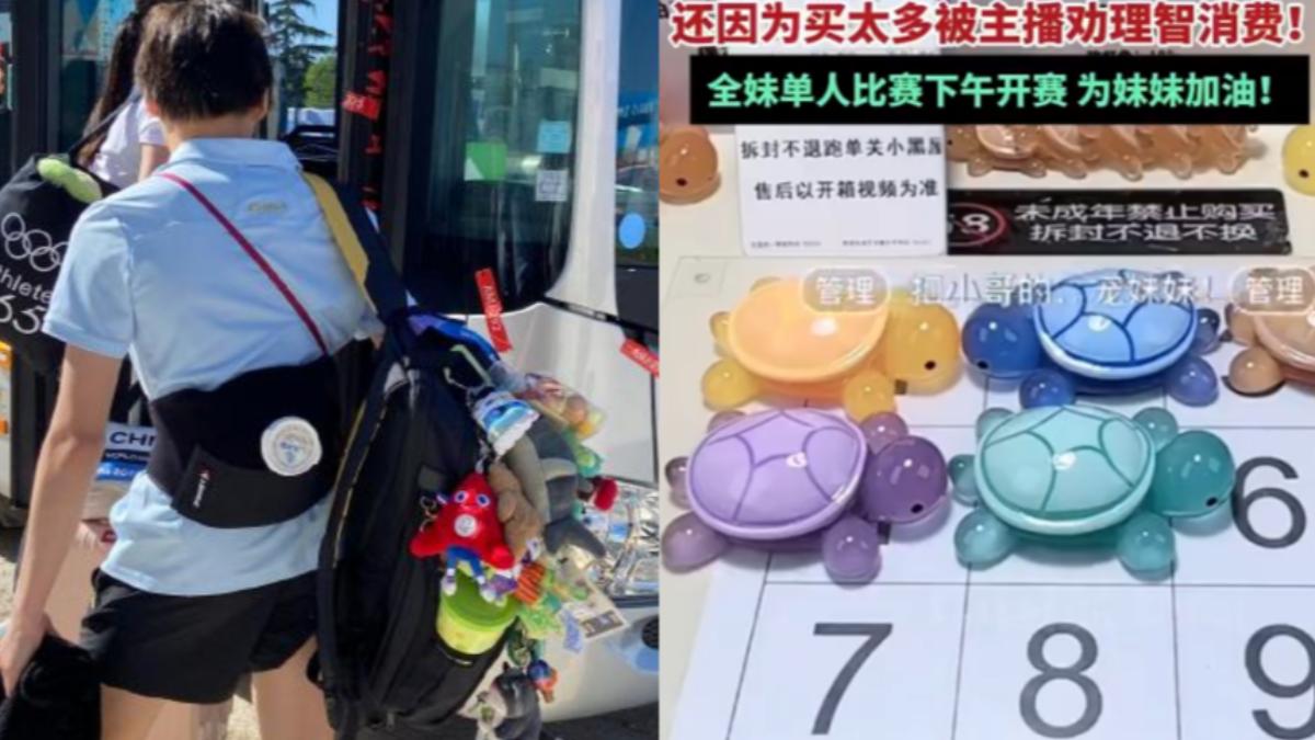 全紅嬋爆買「烏龜盲盒」怎麼玩?成癮性高 一局可獲上百隻烏龜