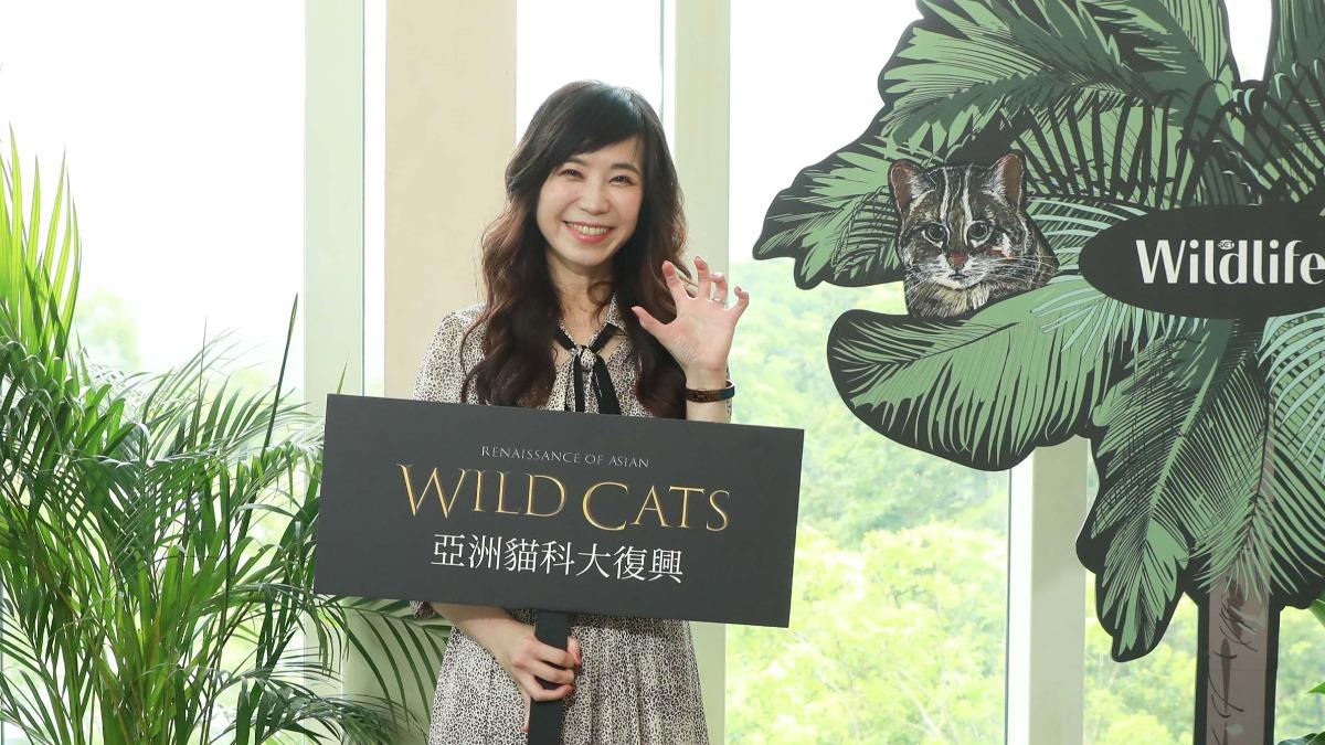 前主播印度拍紀錄片遇猛虎!生死瞬間曝 距離不到1公尺「險遭直衝飛撲」