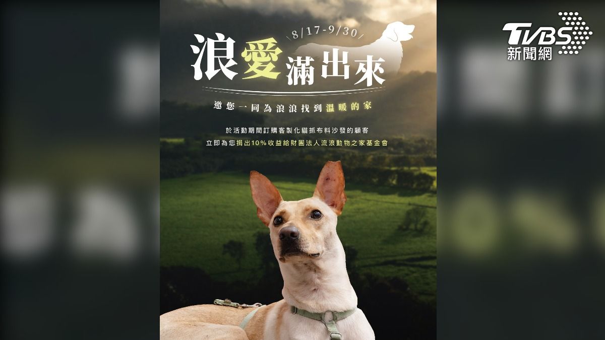 8/19國際國際流浪動物日，居家業者推「浪愛滿出來」，捐出10%收益給財團法人流浪動物之家基金會（圖/沙發先生）