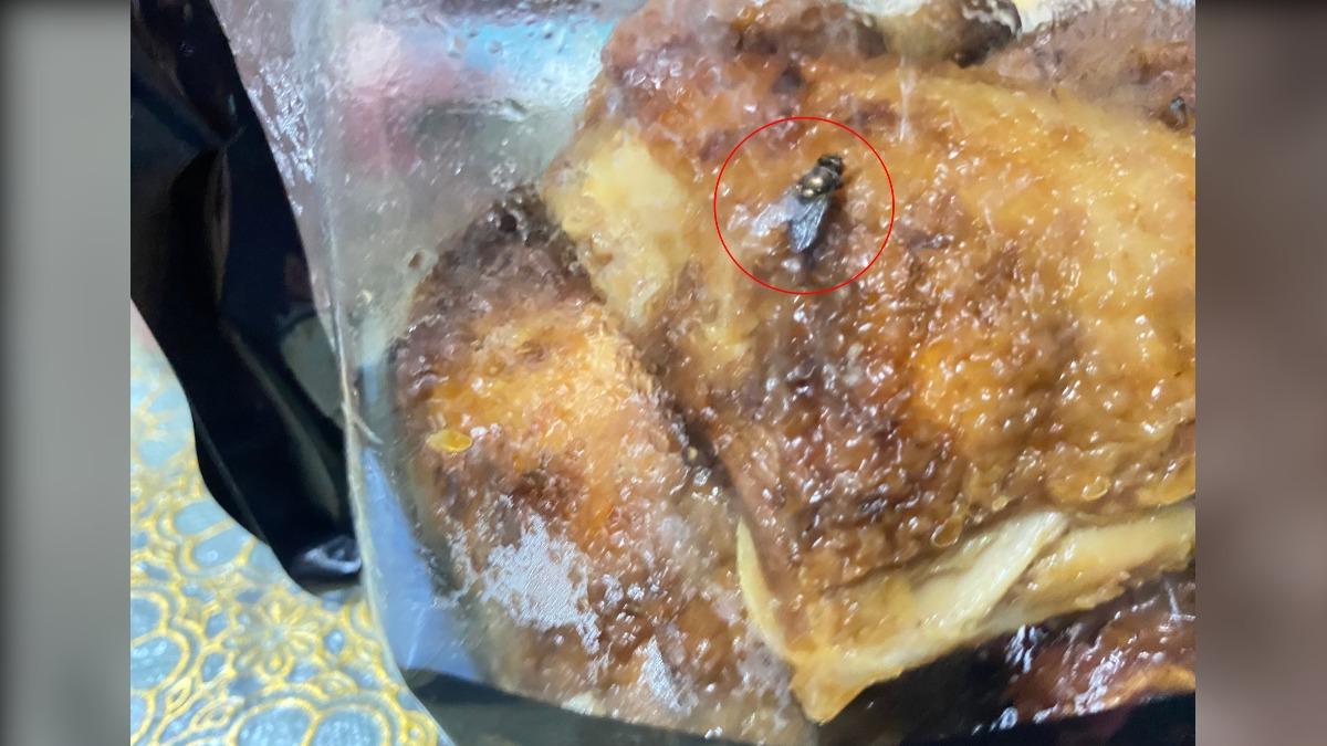 好市多買烤雞大腿！回家發現袋内「黑點移動」　超肥大蒼蠅狂搓手
