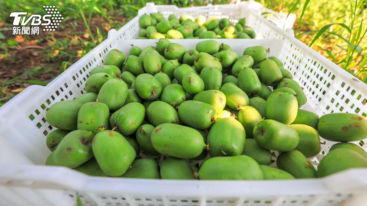 中國產的奇異果。（示意圖，與本案無關／達志影像shutterstock）