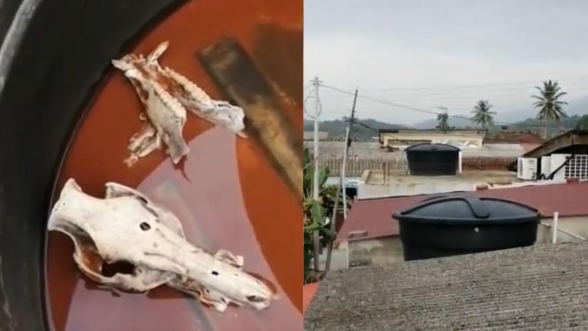 水電工維修水塔驚見「頭顱白骨」!屋主一家崩潰:每天用屍水洗漱