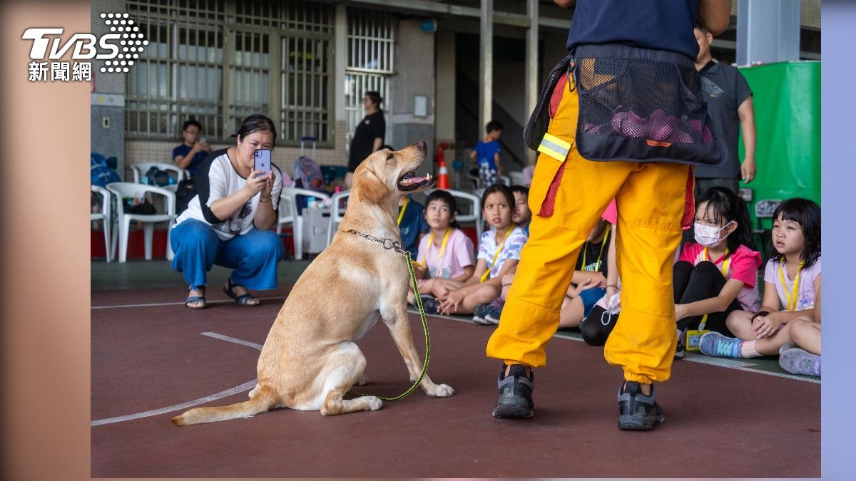 台中市消防局舉辦暑期消防營隊,同場加碼搜救犬互動