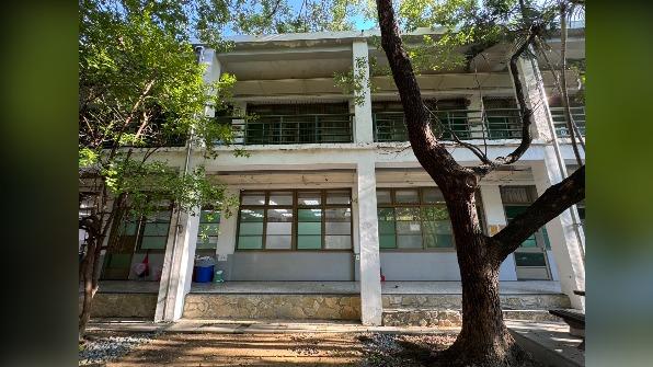 成大成功校區外出現鳥類撞擊窗戶死亡的現象。（圖／台南社大研究員林政翰 提供）