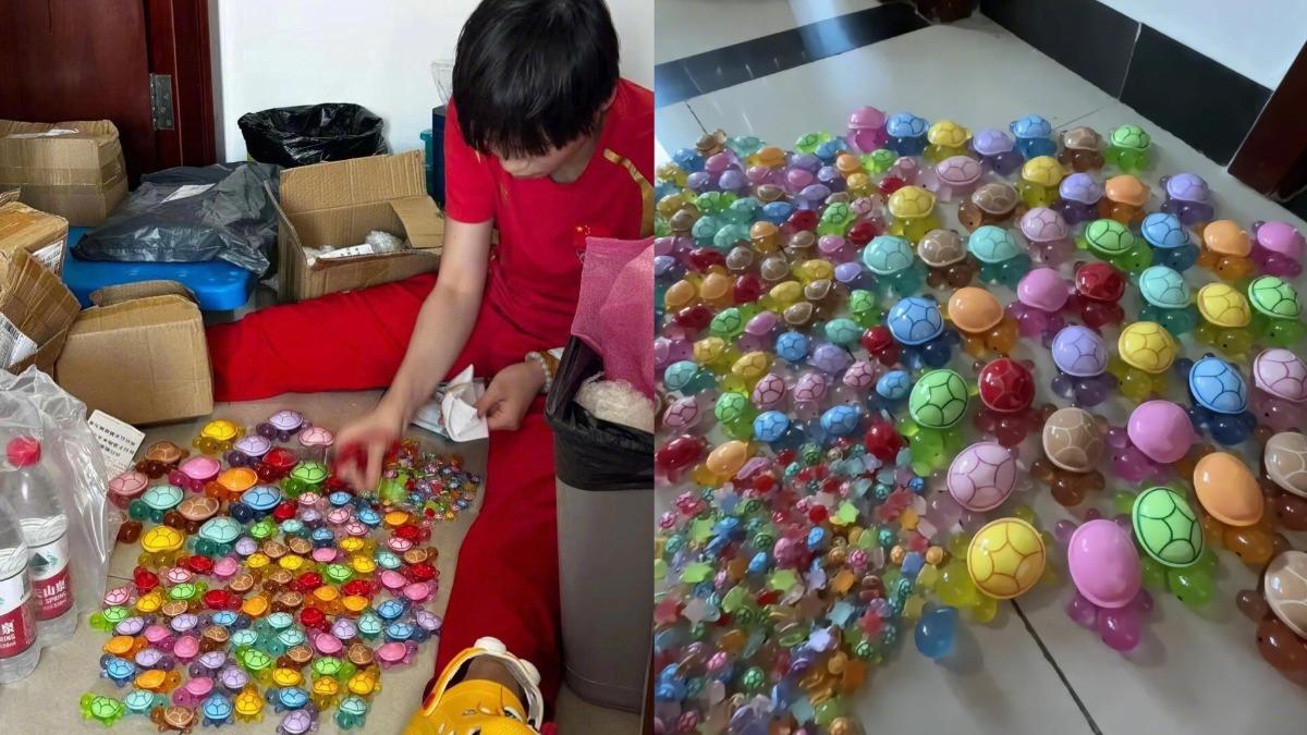 全紅嬋曬驚人收藏!滿地「彩色烏龜」 全場笑翻:奧運王者龜來