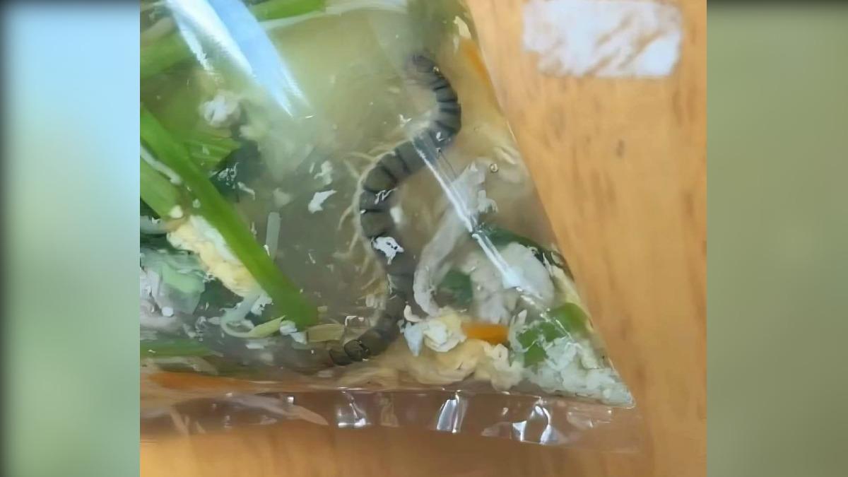 這啥?外帶蛋花湯驚見「巨型條紋蟲」 網怕爆:不是冬蟲夏草吧