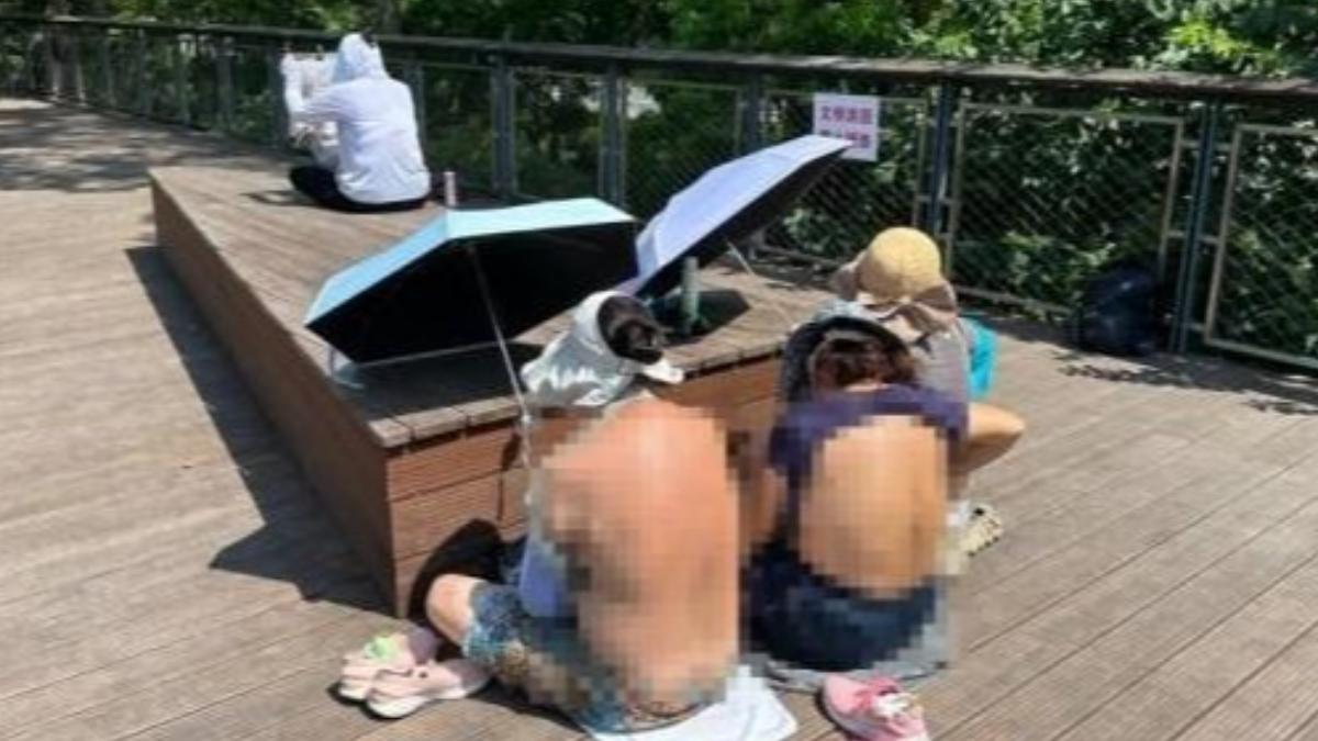大媽直接坐在木棧道上,將上半身的衣服撩起。(圖/翻攝自微博)