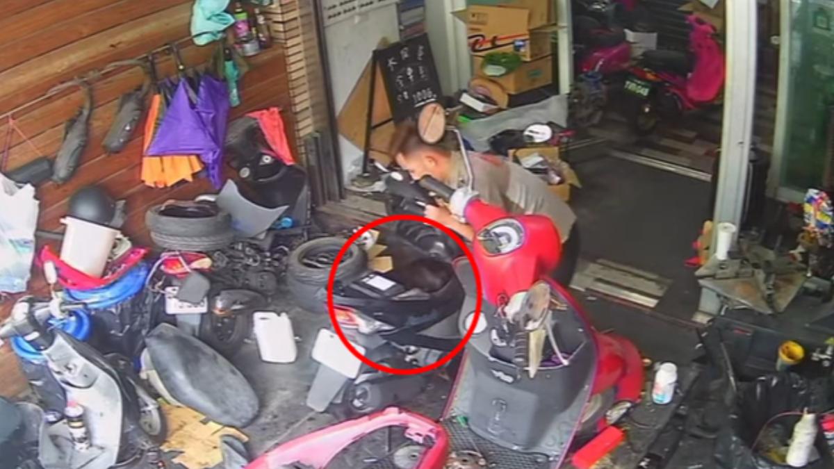 機車行師傅掀車廂「驚見女斷頭」!疑分屍案嚇破膽怒飆:塞X娘