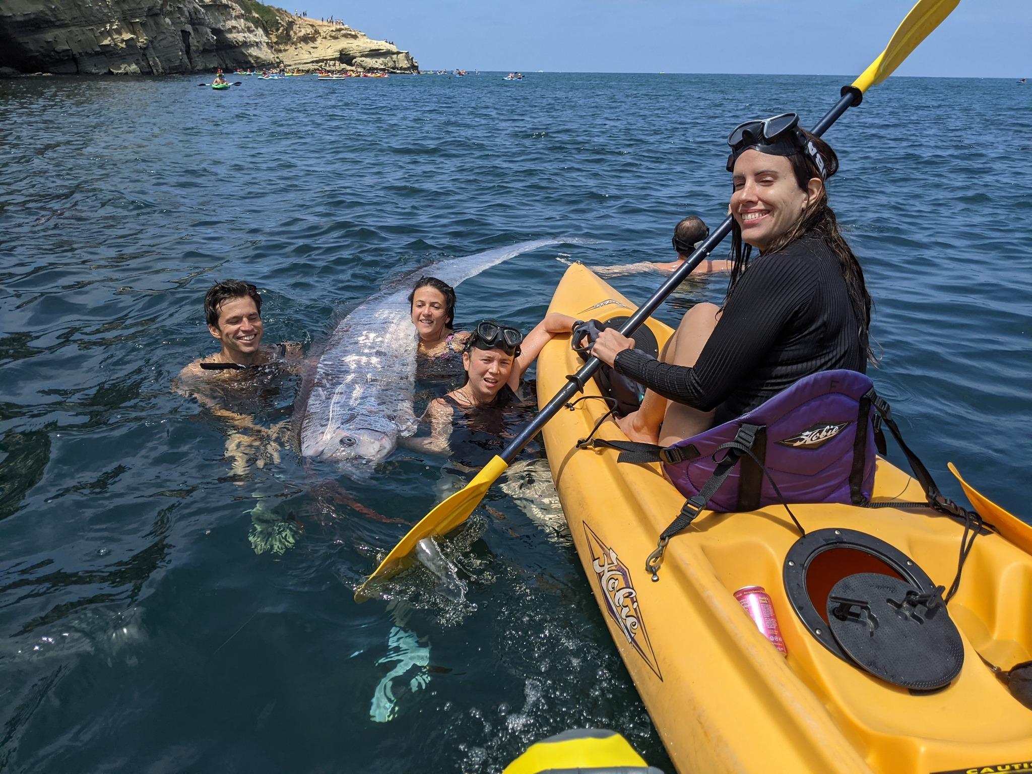 加州驚見巨型地震魚。 (圖/翻攝自Scripps Institution of Oceanography臉書)