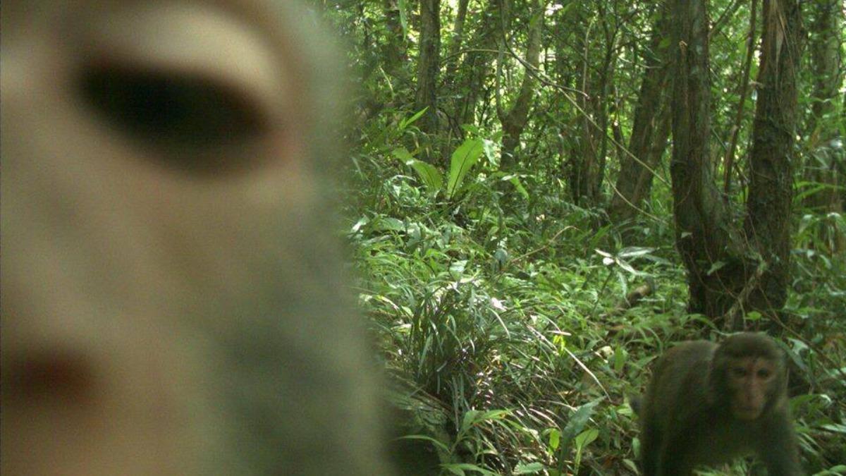 多圖／你在看我嗎...深山「靈異照片」曝　網一看笑瘋：需收驚