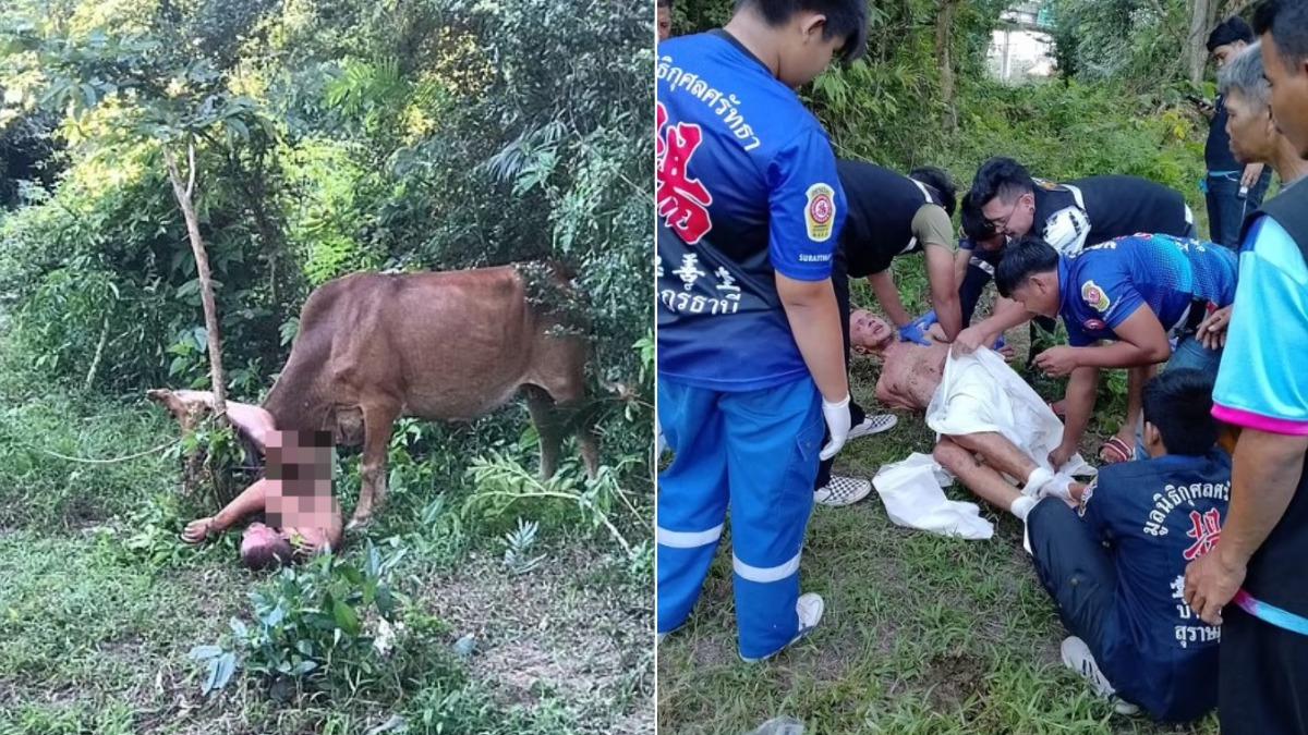 疑呼麻ㄎ掉!俄男赴泰旅遊失控裸奔 還想「性侵母牛」下場慘了