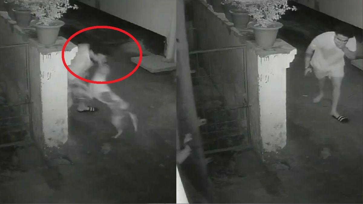 流浪狗1小時咬17人!醫院狂犬病疫苗被打光 印男「臉被撕咬爆血」
